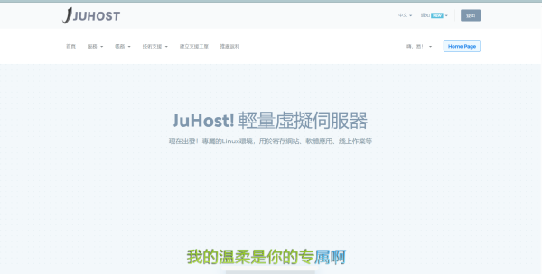 JuHost：香港VPS六折促销，国内三网直连/共享100Mbps BGP带宽，月付$2.99起